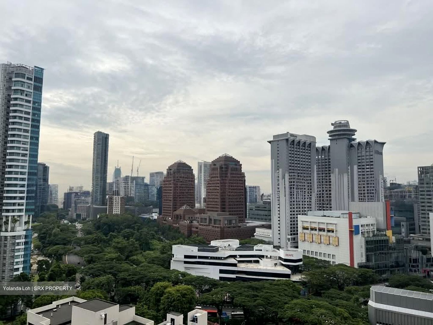 The Suites At Central (D9), Condominium #585581101